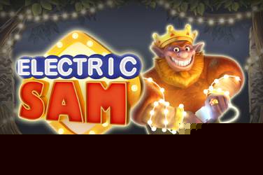 Electric sam